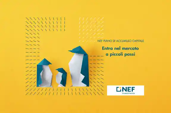 nef pac